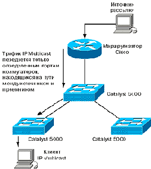  18.  CGMP 